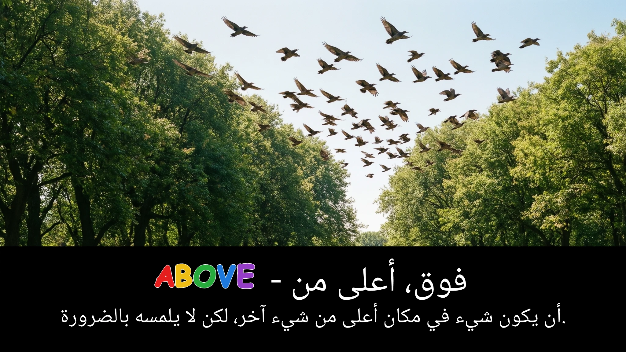 Arabic Illustration for above